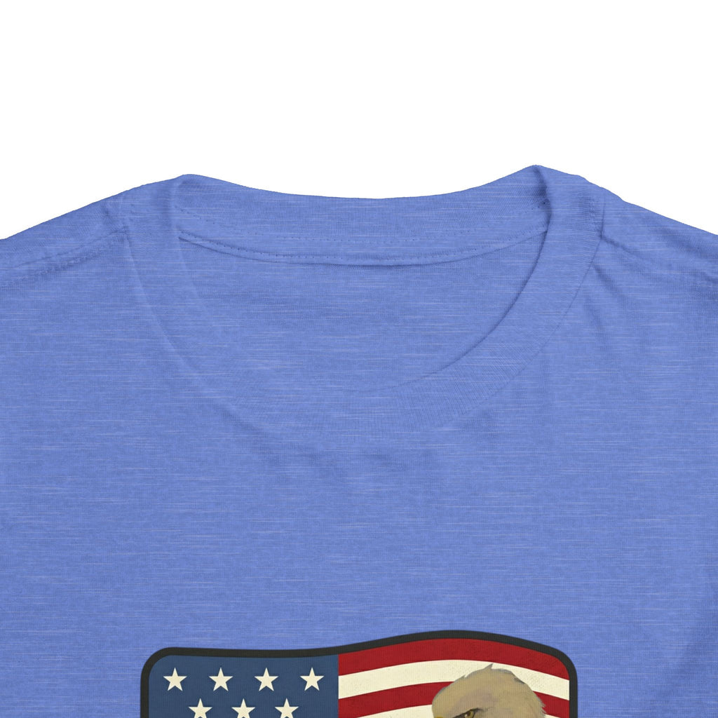 July 4th Toddler Tee —2T - 5T Patriotic Bald Eagle "USA 2026" Graphic