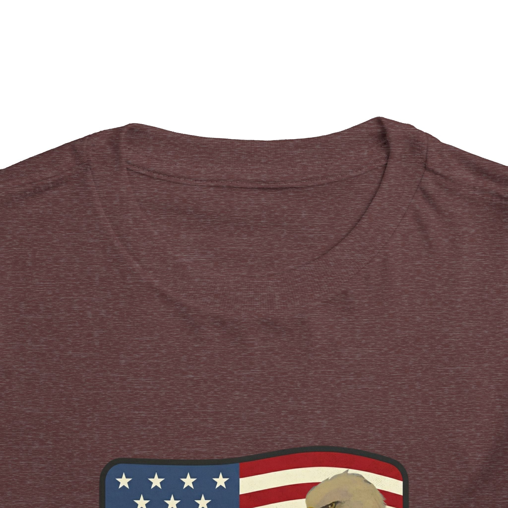 July 4th Toddler Tee —2T - 5T Patriotic Bald Eagle "USA 2026" Graphic