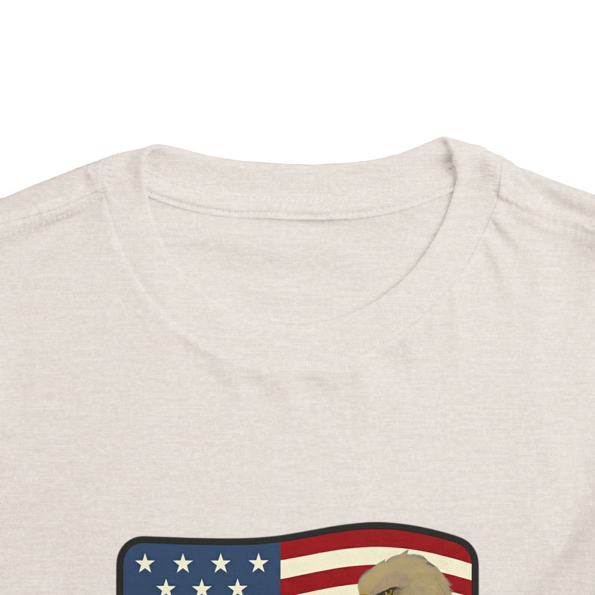 July 4th Toddler Tee —2T - 5T Patriotic Bald Eagle "USA 2026" Graphic