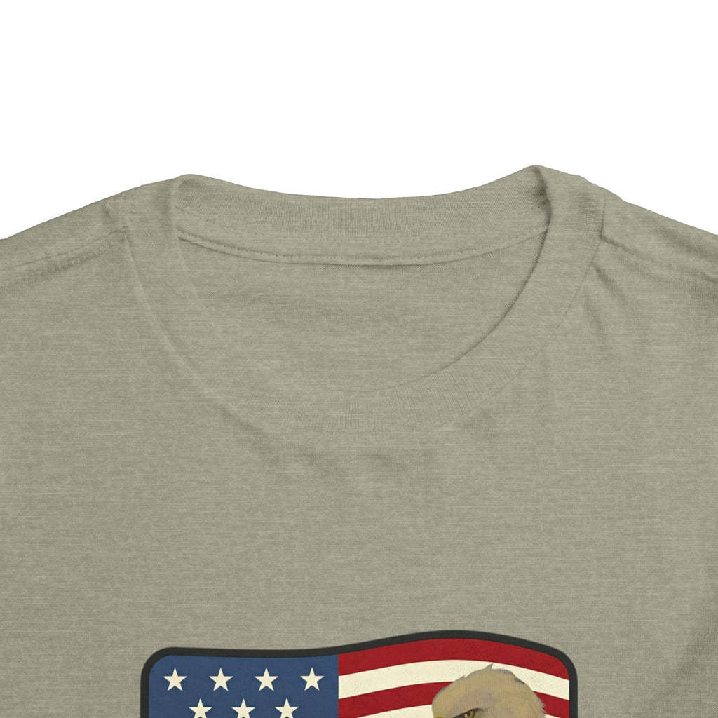July 4th Toddler Tee —2T - 5T Patriotic Bald Eagle "USA 2026" Graphic