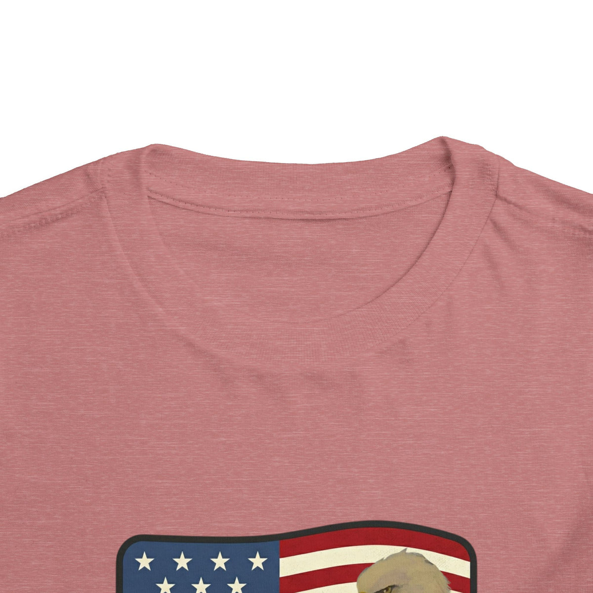 Patriotic Toddler Tee —2T - 5T Patriotic Bald Eagle "USA 2026" Graphic