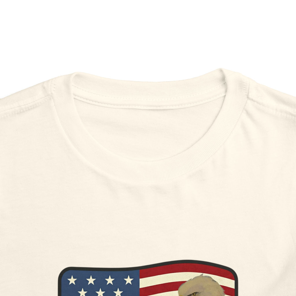 July 4th Toddler Tee —2T - 5T Patriotic Bald Eagle "USA 2026" Graphic