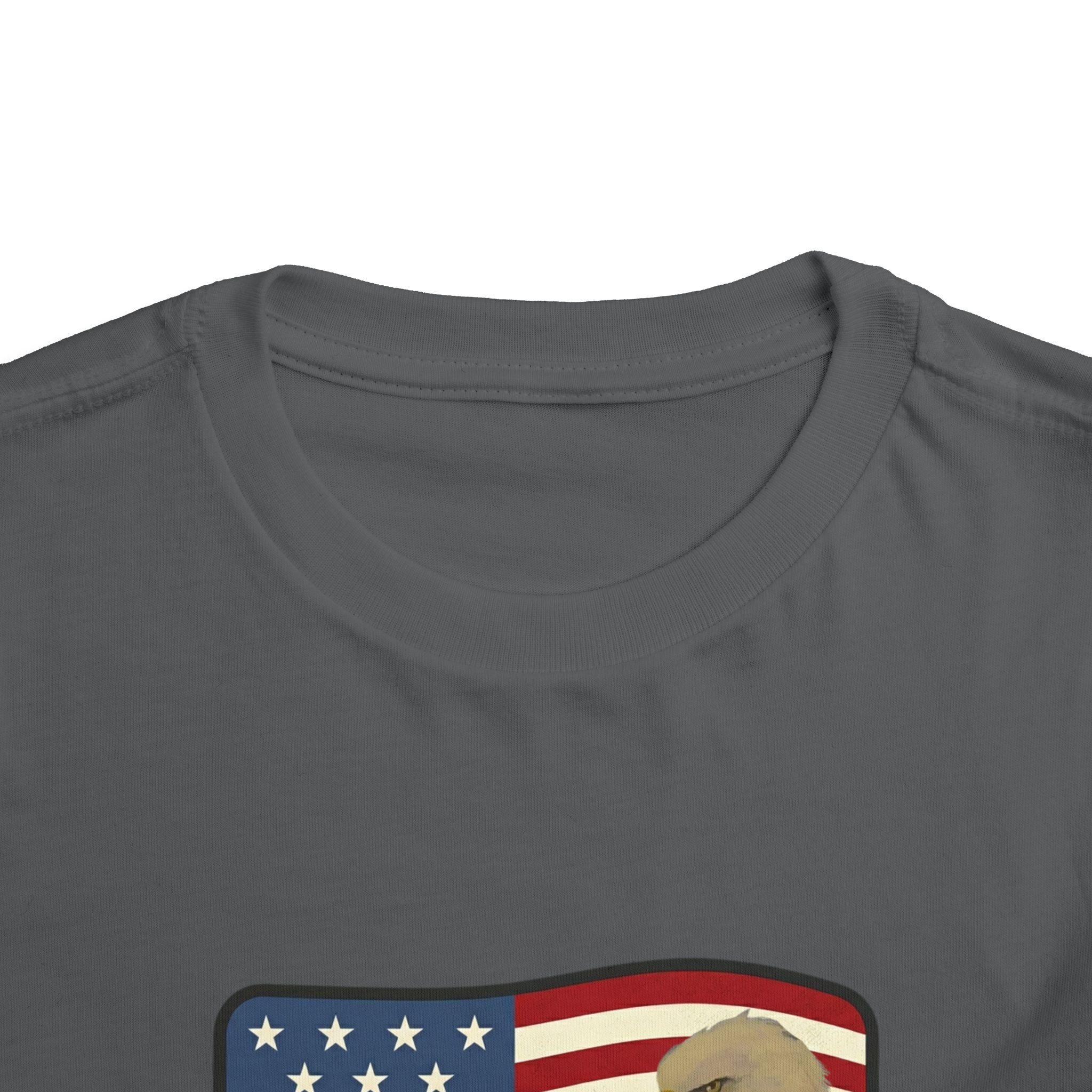 July 4th Toddler Tee —2T - 5T Patriotic Bald Eagle "USA 2026" Graphic
